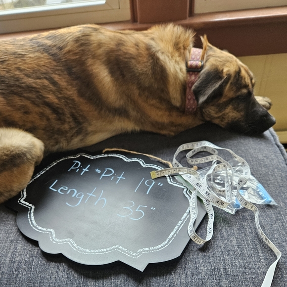 Meet your Posher, Debra - Picture 3 of 3